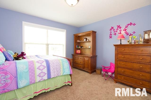 3818 West Crimson Road Dunlap, IL 61525 - Photo 23 of 28 Gallery Image 23