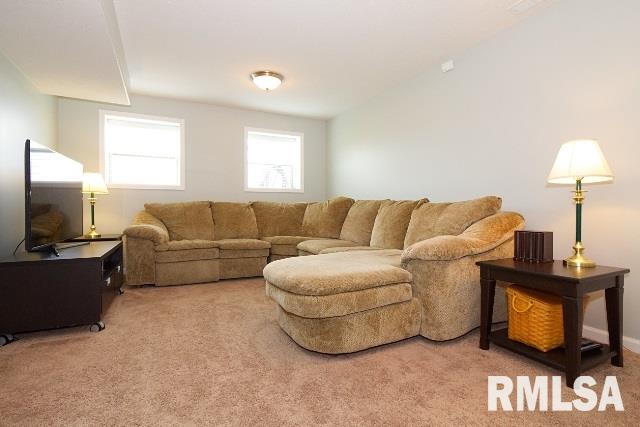 3818 West Crimson Road Dunlap, IL 61525 - Photo 26 of 28 Gallery Image 26
