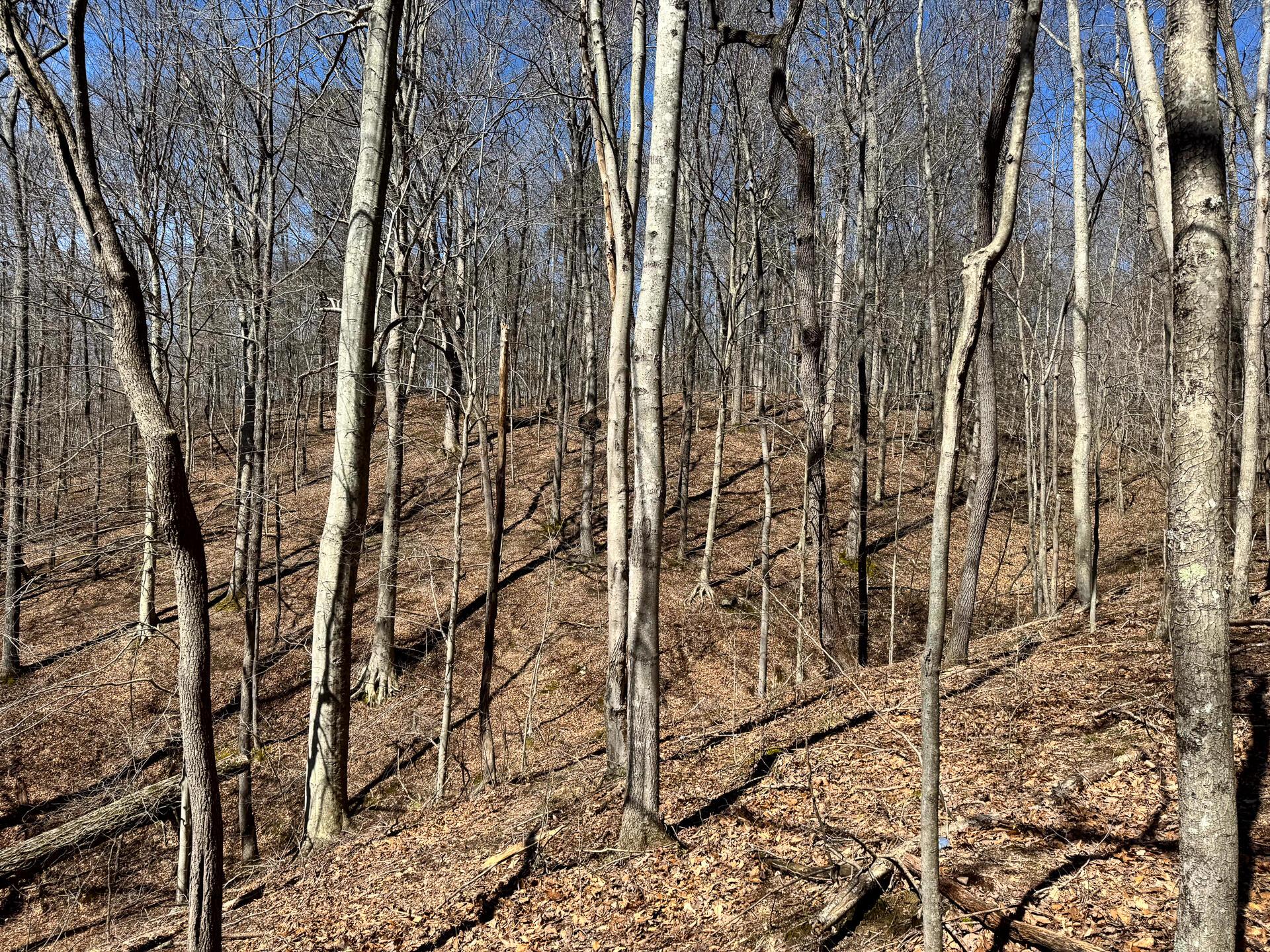 0 Remely Road, Unit MILLSTONE CAVES TRACT 1) Cutler, OH 45724 - Photo 35 of 41 CT-37