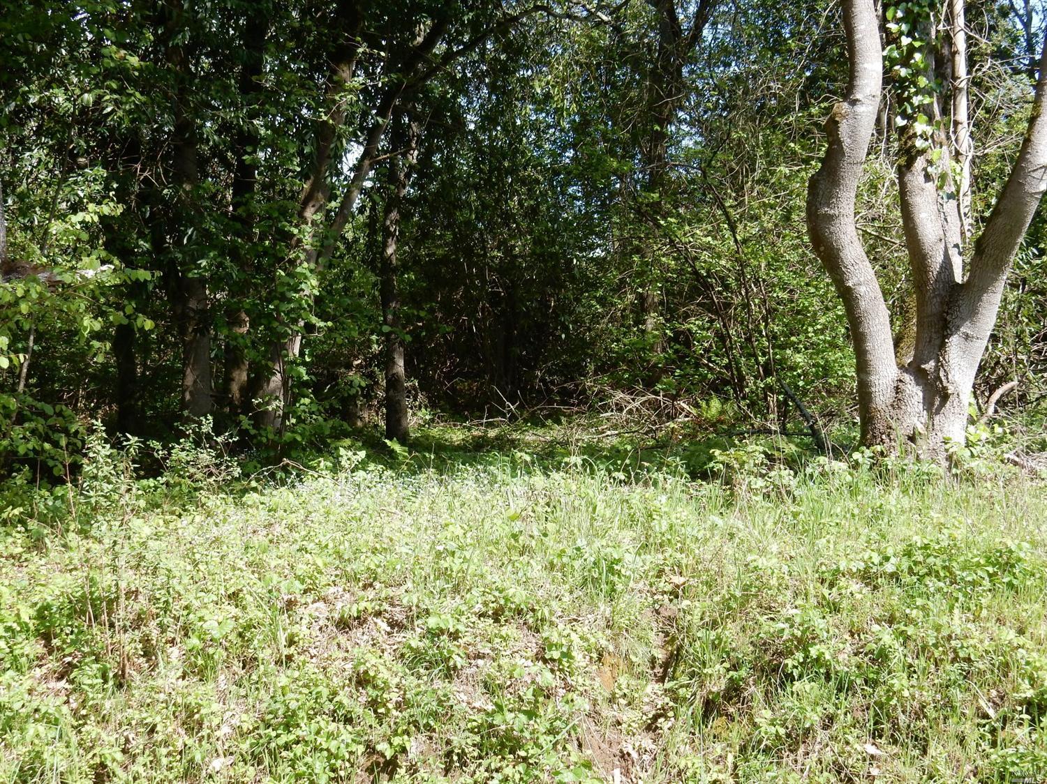 11941 Barnett Valley Road Sebastopol, CA 95472 - Photo 1 of 1