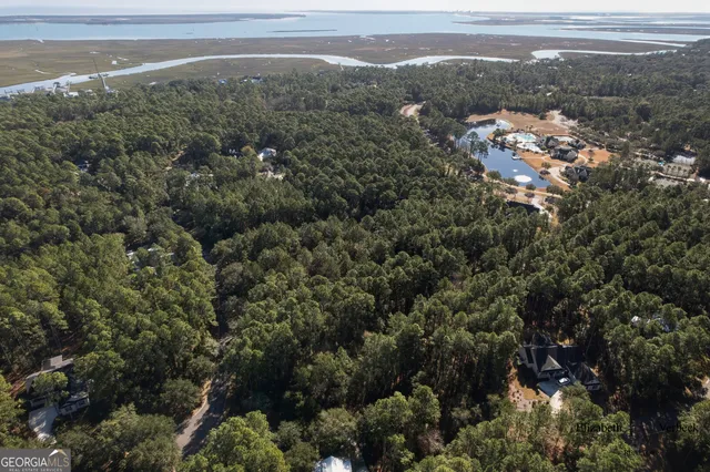 $28,000 | V/l 238 Lateral Buoy Lane, Kings Bay, GA 31558