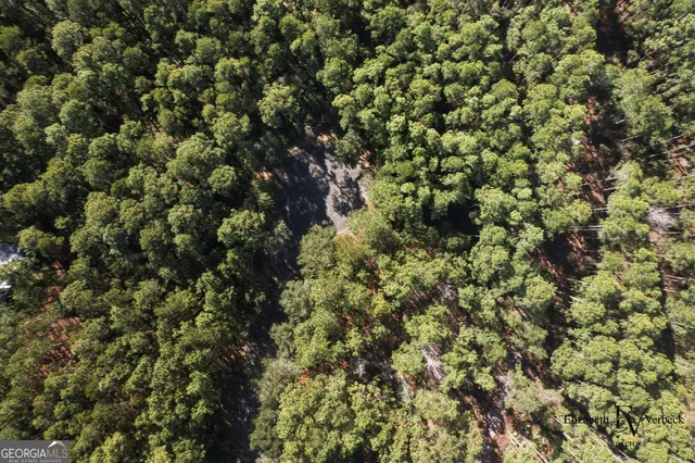 $28,000 | V/l 238 Lateral Buoy Lane, Kings Bay, GA 31558