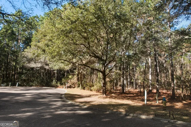 $28,000 | V/l 238 Lateral Buoy Lane, Kings Bay, GA 31558