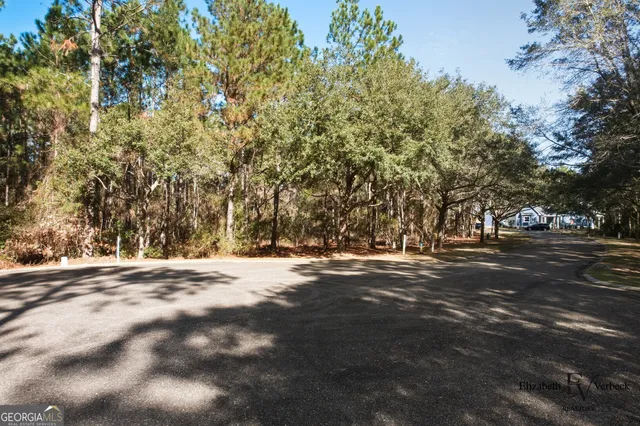 $28,000 | V/l 238 Lateral Buoy Lane, Kings Bay, GA 31558