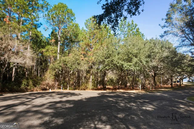 $28,000 | V/l 238 Lateral Buoy Lane, Kings Bay, GA 31558