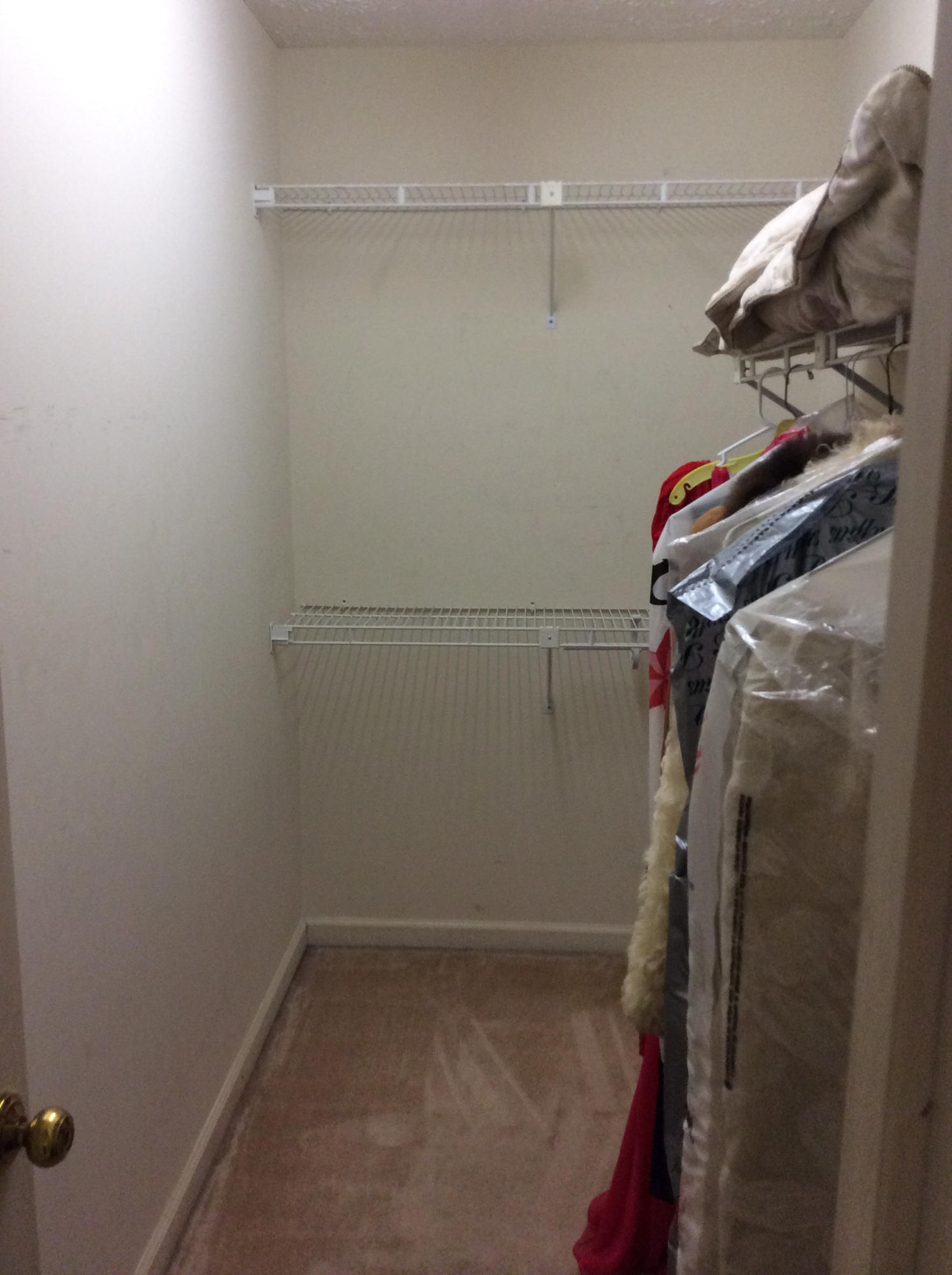 110 Baypath Drive Oak Ridge, TN 37830 - Photo 35 of 40 MBRWalk-inCloset