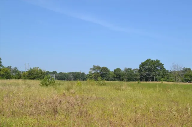 a view of lake and trees