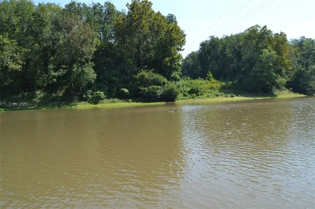 a view of a yard with large trees