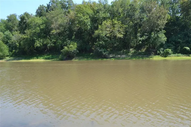 a big yard with lots of green space and plants