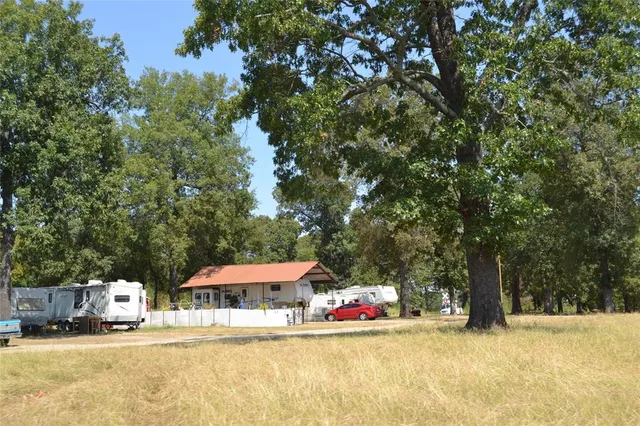 a view of a yard with a tree