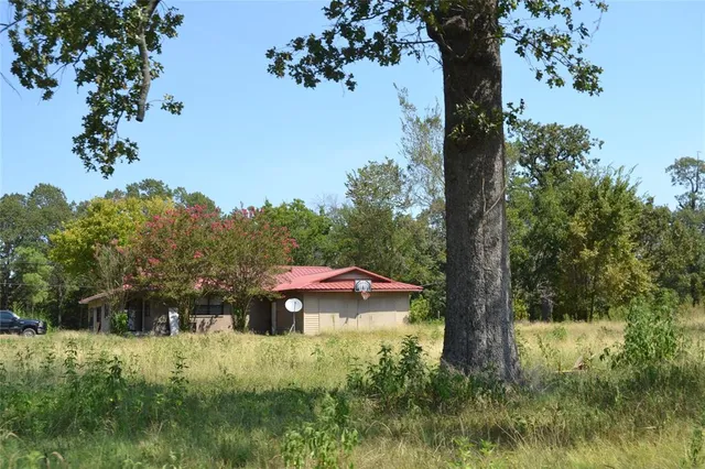 a view of a yard with a tree