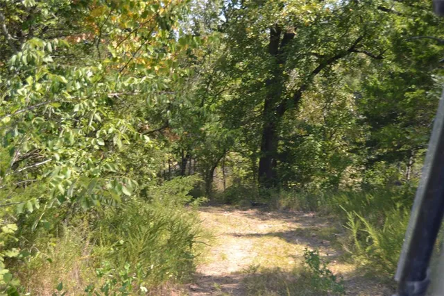 a view of a lake with a building in the background