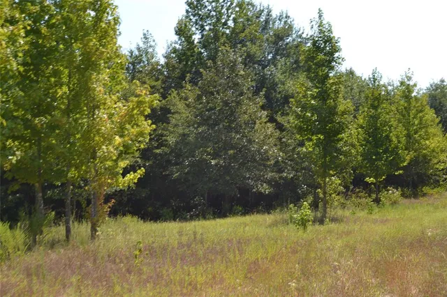 a view of a yard with a tree