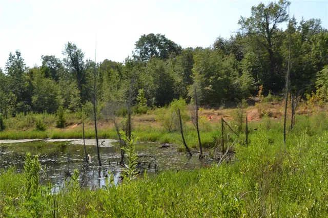 a view of a lake from a yard
