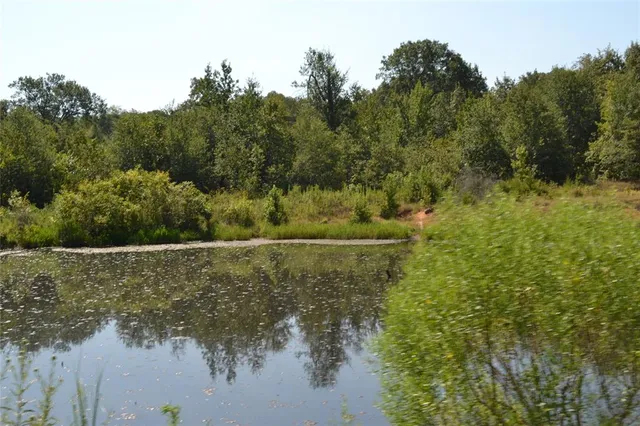 a view of a lake with trees all around