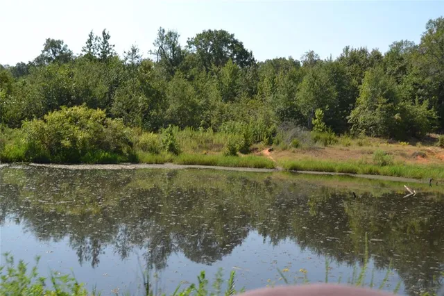 a view of a lake view with a plant