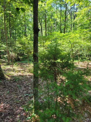 $165,120 | 7000 Three Notch Road, Unit 20, Ringgold, GA 30736