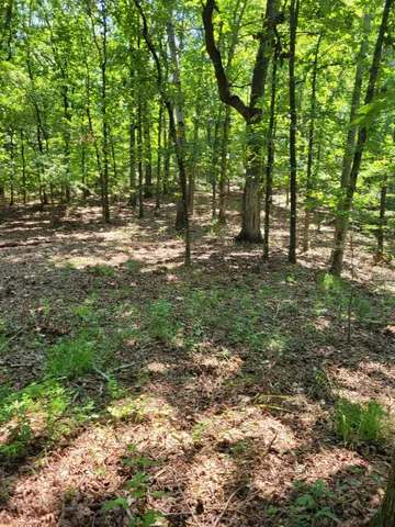 $165,120 | 7000 Three Notch Road, Unit 20, Ringgold, GA 30736