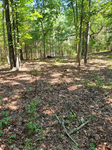 $165,120 | 7000 Three Notch Road, Unit 20, Ringgold, GA 30736