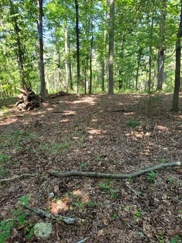 $165,120 | 7000 Three Notch Road, Unit 20, Ringgold, GA 30736