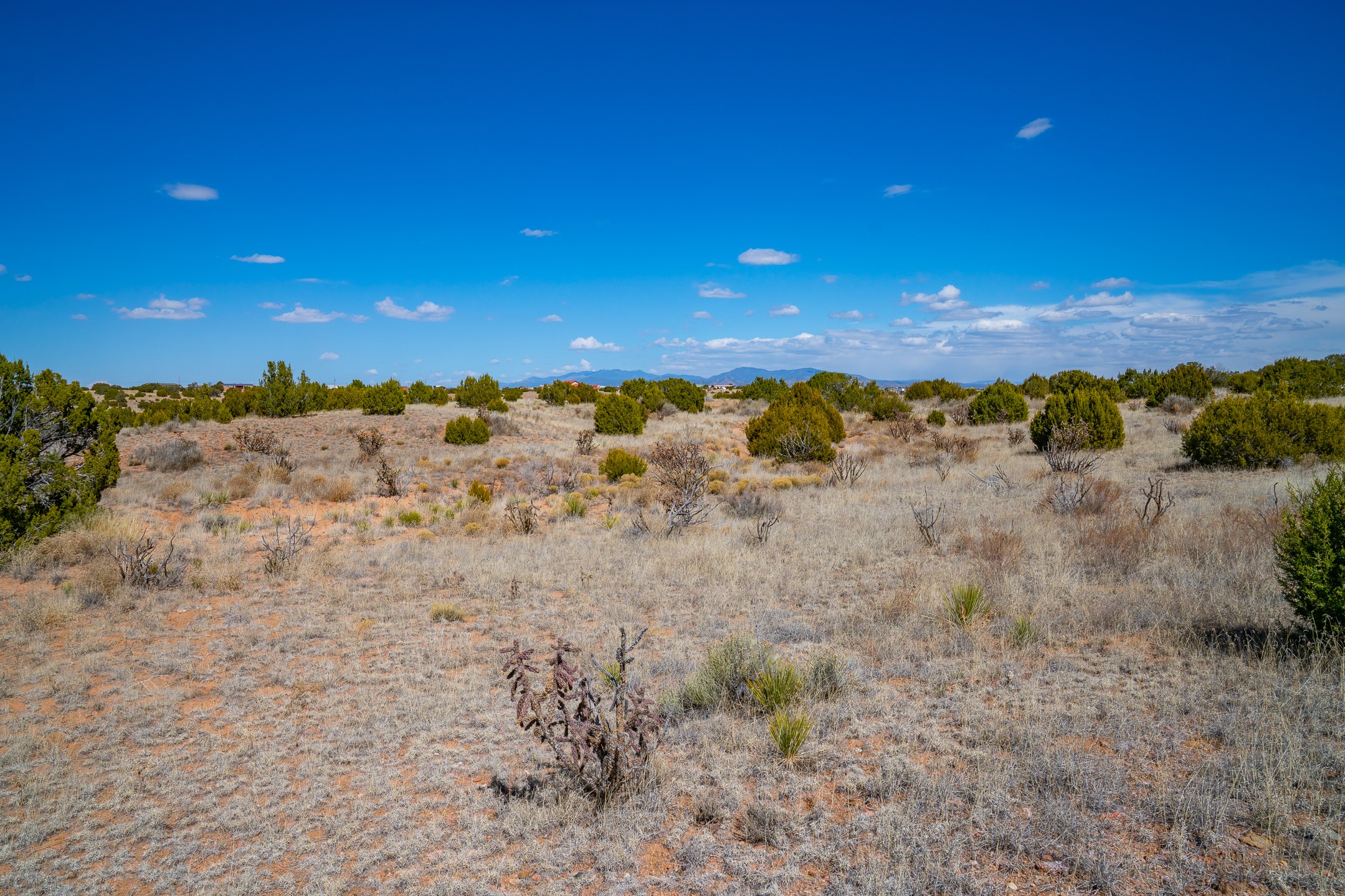 63 Crazy Rabbit Drive Santa Fe, NM 87508 - Photo 17 of 21