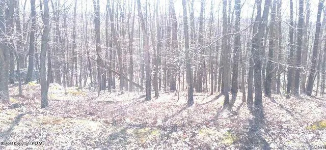 $17,000 | 132 Kenoza Drive, Hazleton, PA 18202