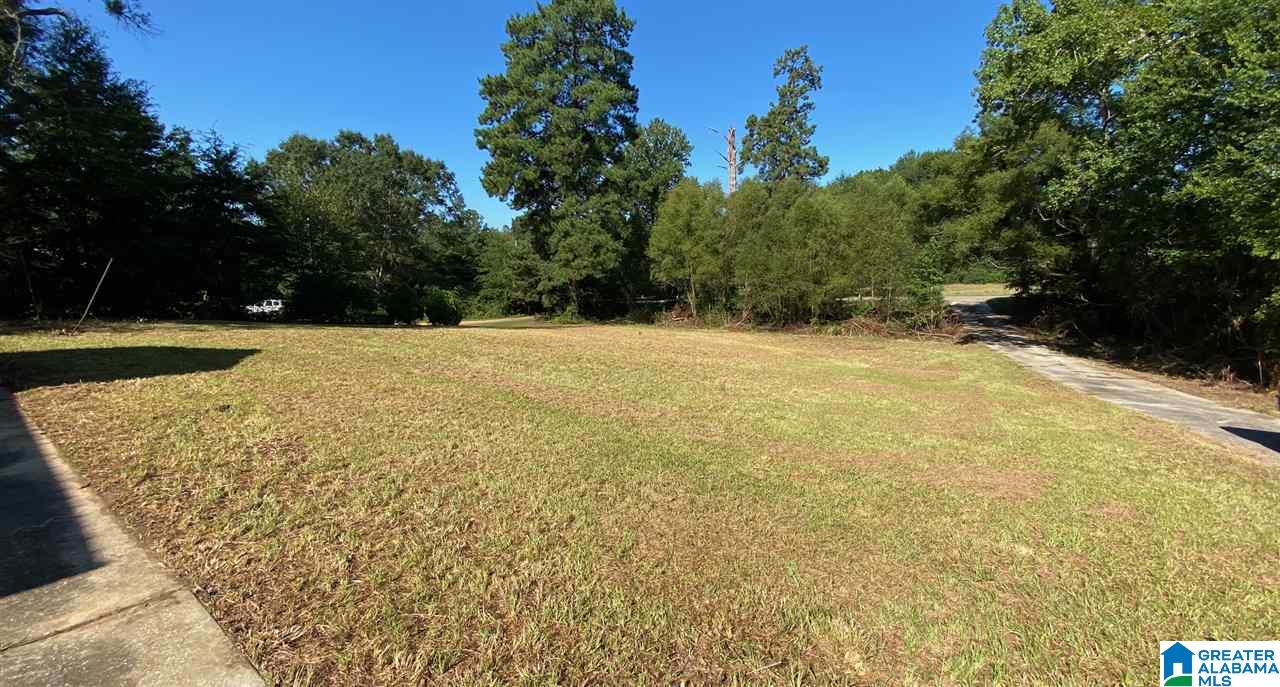 13684 Johns Road Vance, AL 35490 - Photo 7 of 18
