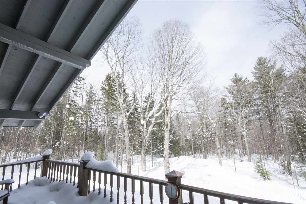 82 Acer Road Stratton, VT 05343 - Photo 18 of 21