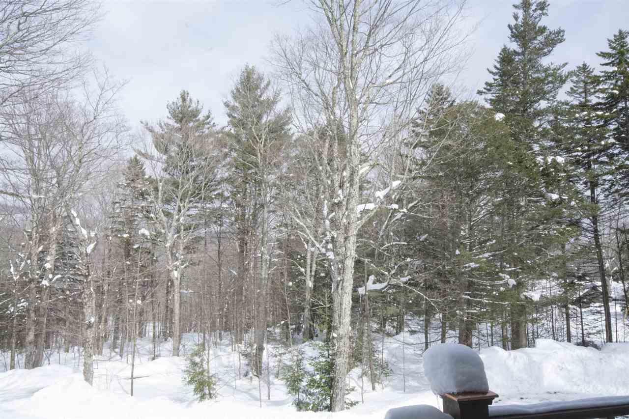 82 Acer Road Stratton, VT 05343 - Photo 20 of 21