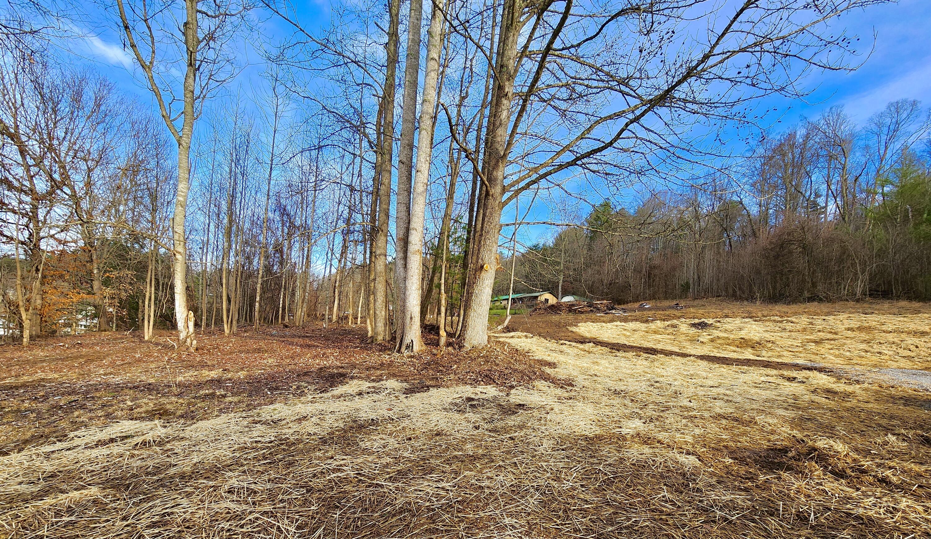 107 Masters Street Erwin, TN 37650 - Photo 13 of 43 C9CAF818-4BF0-4284-9332-84FAADB89A9A