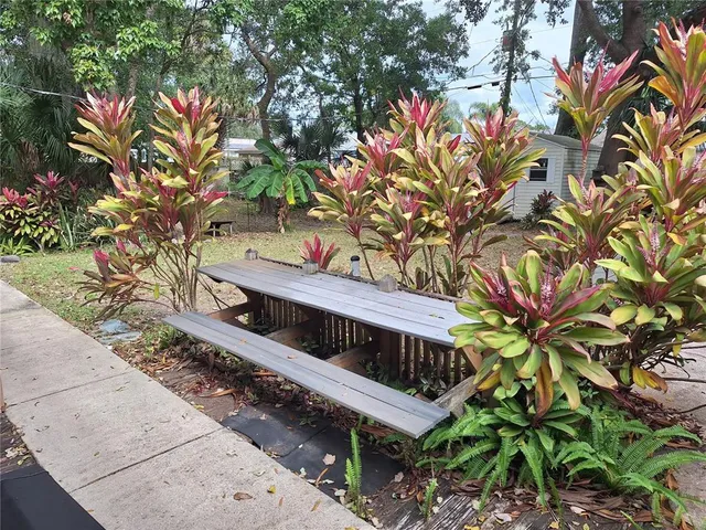 a view of a house with a tree