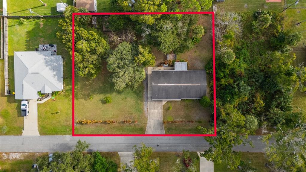 3221 Lime Tree Drive Edgewater, FL 32141 - Photo 3 of 28 a view of yard