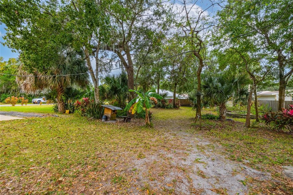 3221 Lime Tree Drive Edgewater, FL 32141 - Photo 10 of 28 a backyard of a house with lots of green space
