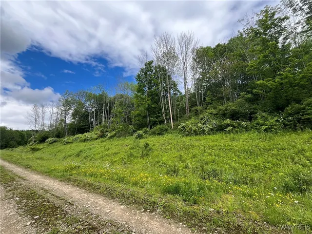 $750,000 | Tbb Lot #5 Tbb North, Unit 5 42, Ellicottville, NY 14731