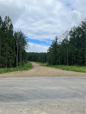 $750,000 | Tbb Lot #5 Tbb North, Unit 5 42, Ellicottville, NY 14731