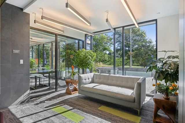 a living room with furniture and a potted plant
