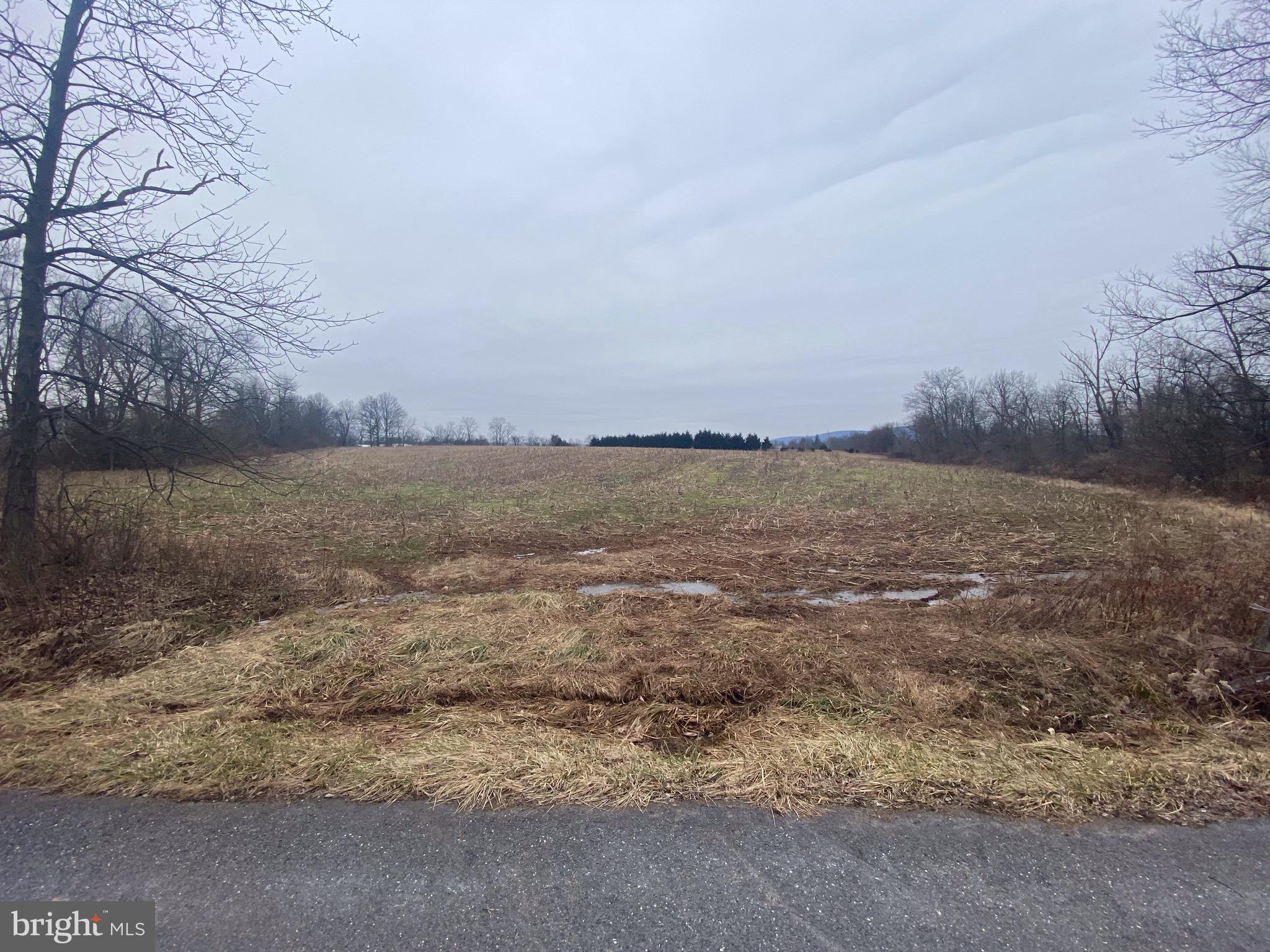 9111 Orndorff Road Rocky Ridge, MD 21778 - Photo 1 of 22