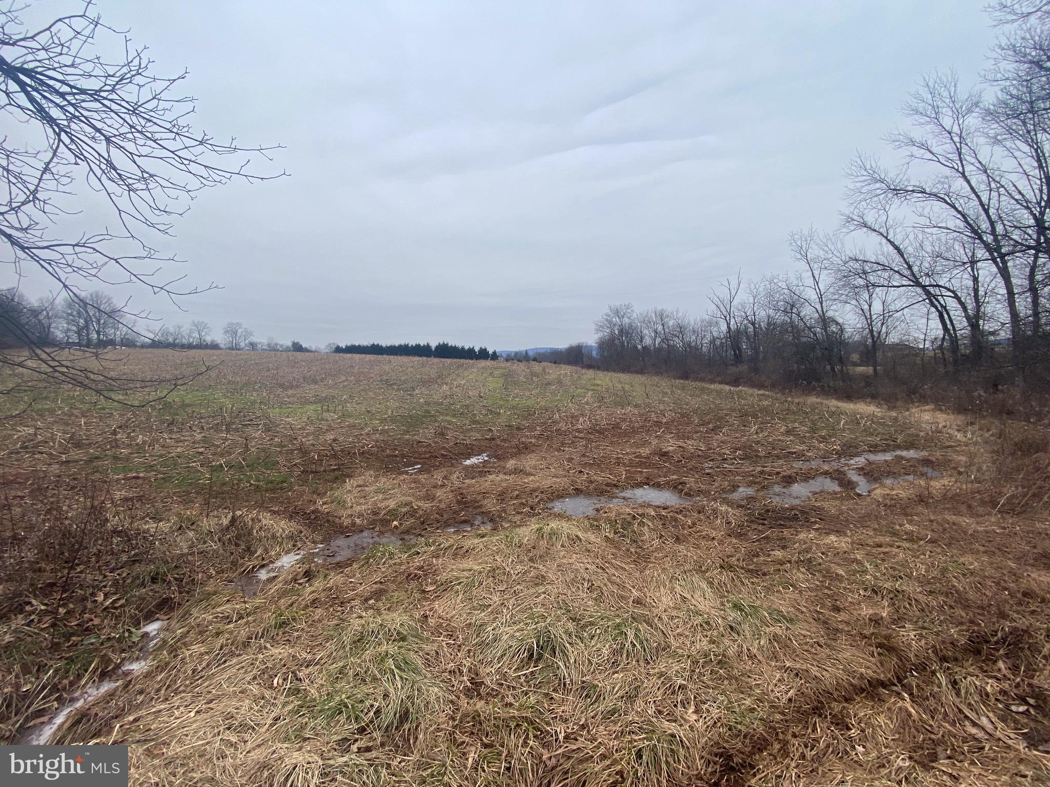 9111 Orndorff Road Rocky Ridge, MD 21778 - Photo 2 of 22