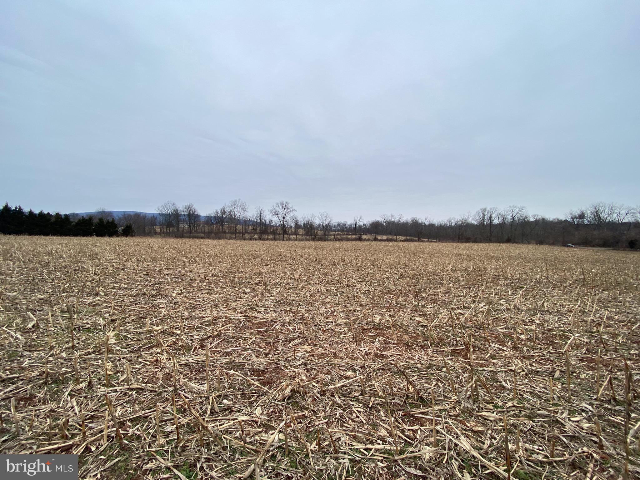 9111 Orndorff Road Rocky Ridge, MD 21778 - Photo 11 of 22