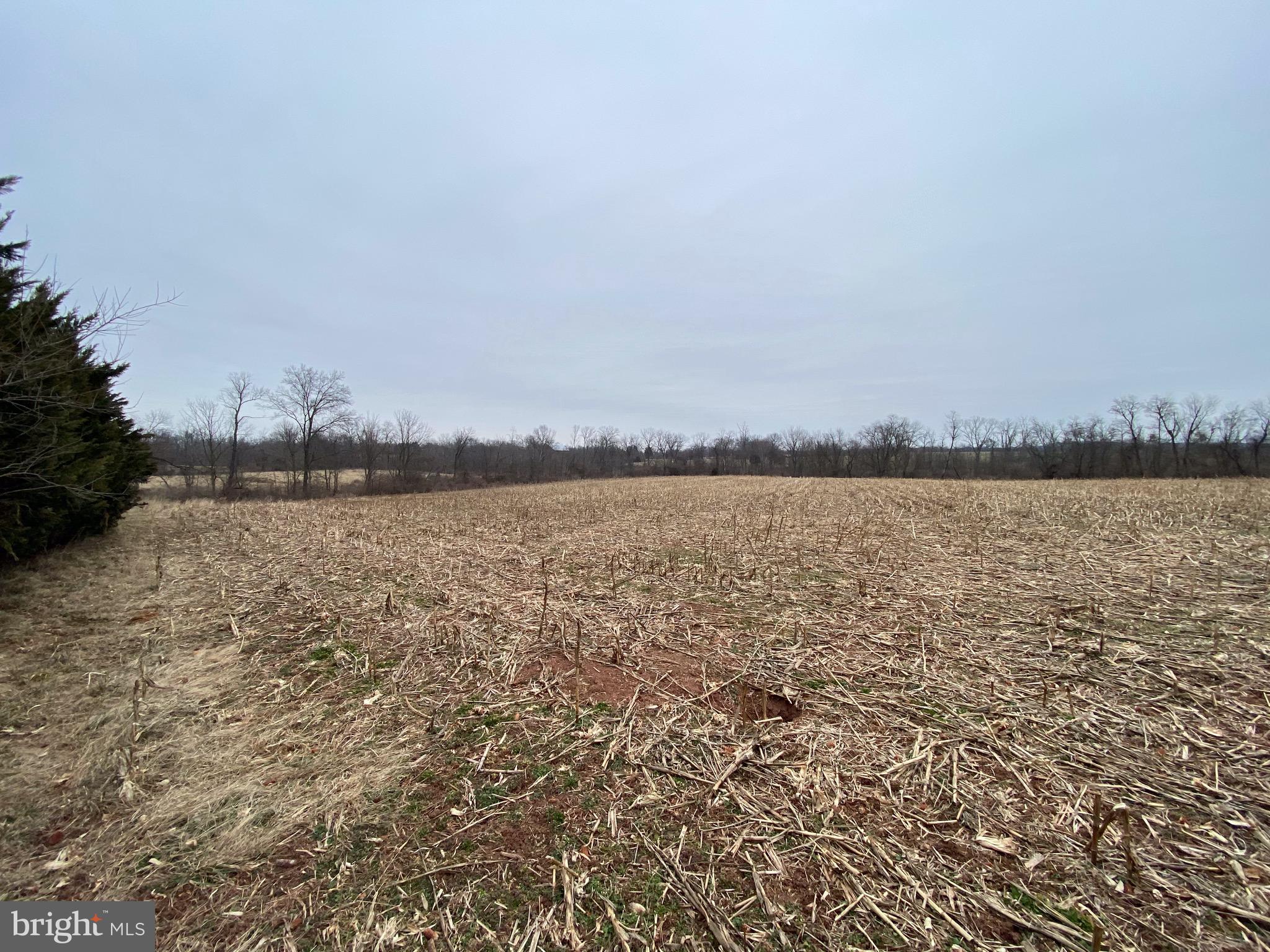 9111 Orndorff Road Rocky Ridge, MD 21778 - Photo 14 of 22