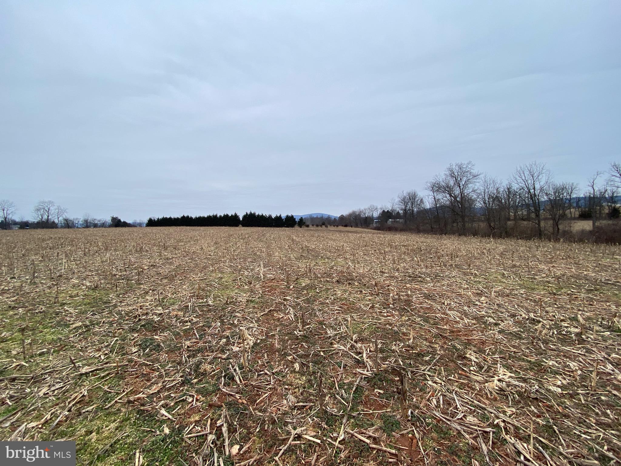 9111 Orndorff Road Rocky Ridge, MD 21778 - Photo 20 of 22