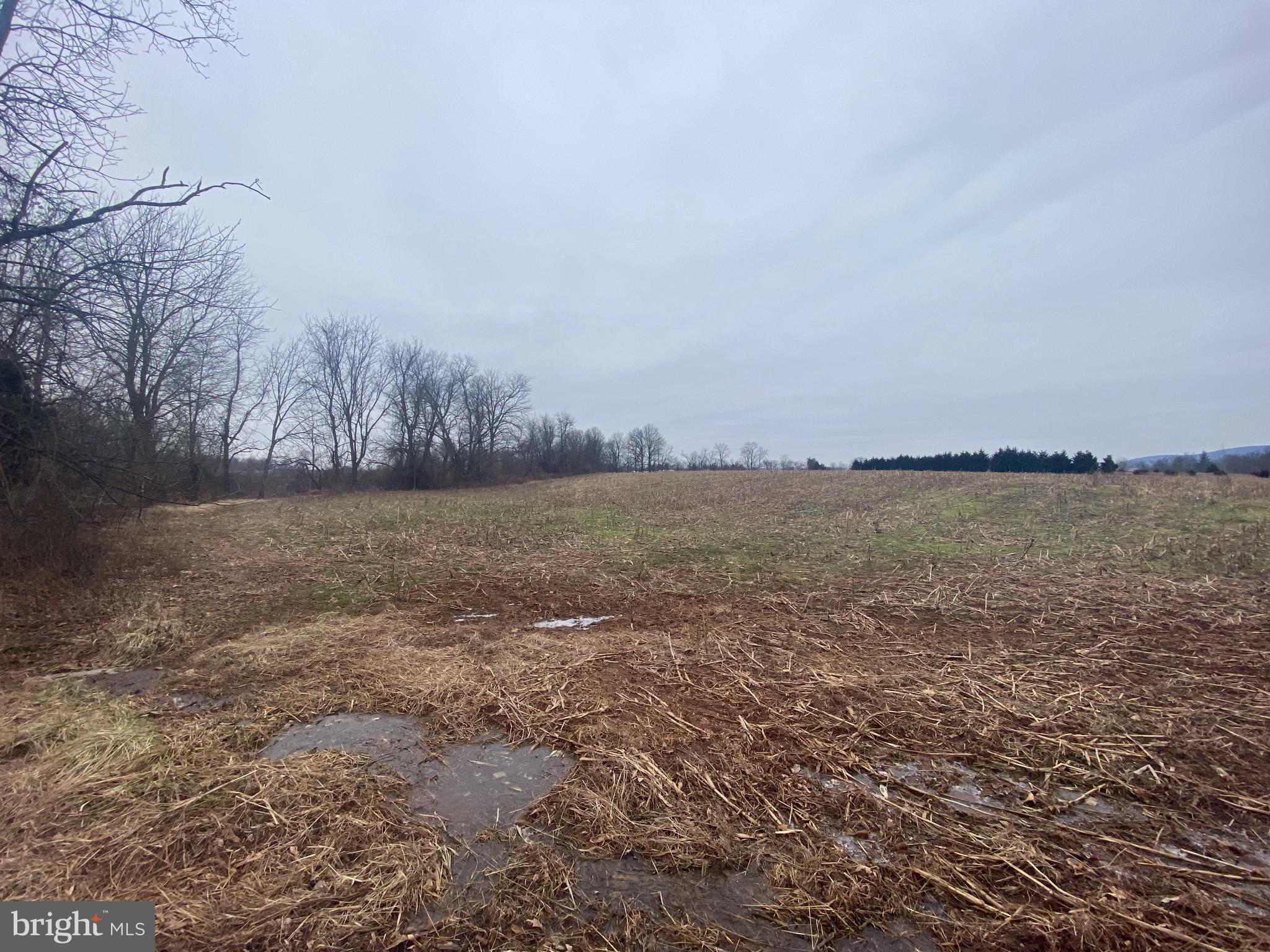 9111 Orndorff Road Rocky Ridge, MD 21778 - Photo 3 of 22