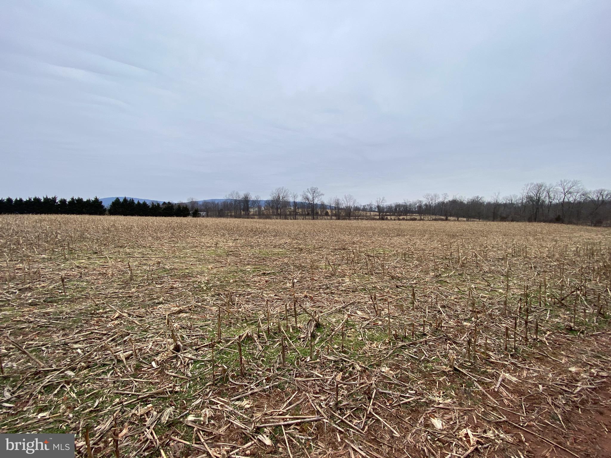 9111 Orndorff Road Rocky Ridge, MD 21778 - Photo 8 of 22