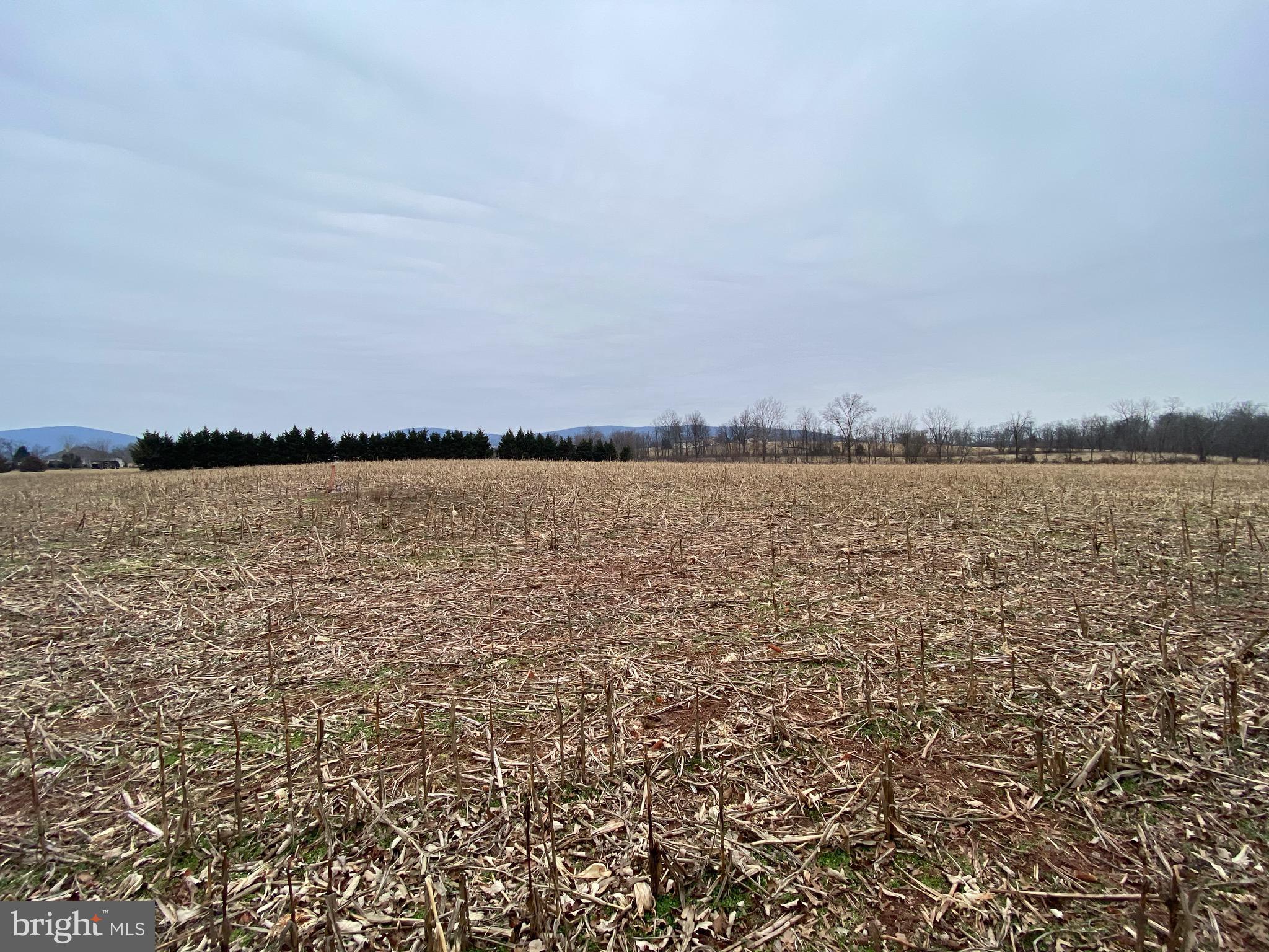 9111 Orndorff Road Rocky Ridge, MD 21778 - Photo 9 of 22
