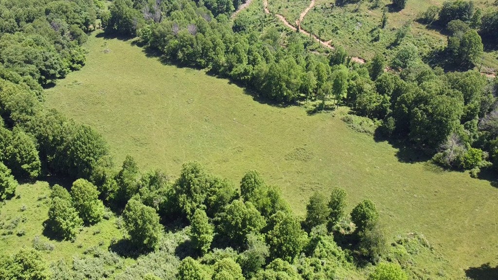 Tbd Buckeye Hollow Road Saltville, VA 24370 - Photo 12 of 13 Gallery Image 12