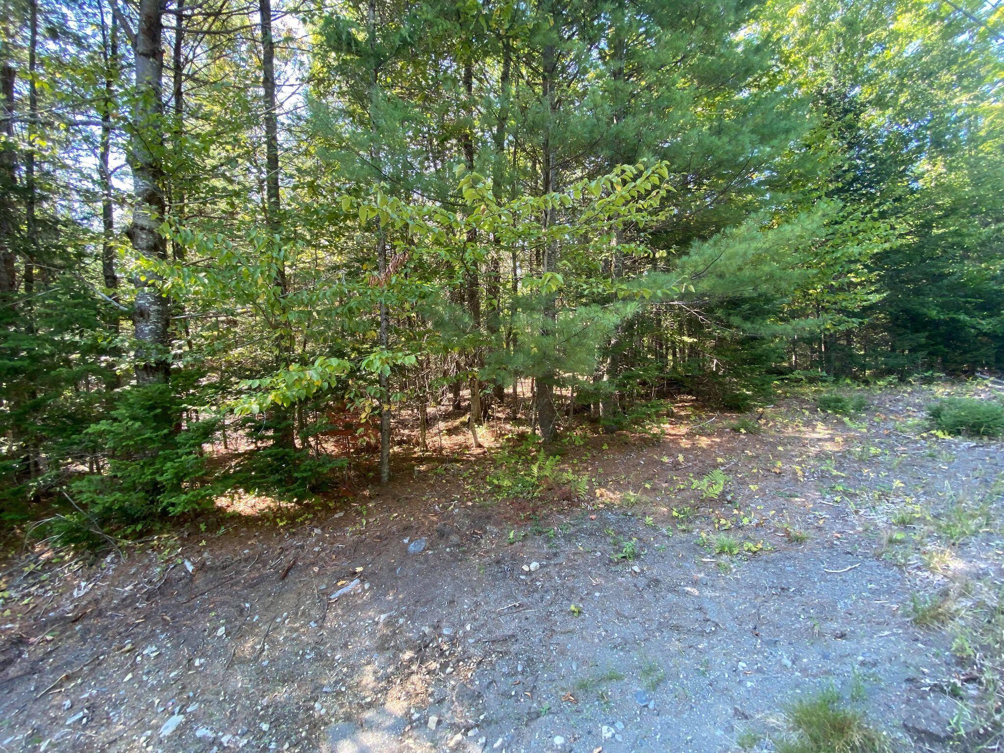 Tbd Steward Road Monson, ME 04464 - Photo 9 of 12 241485745_933496820574438_30867142655460