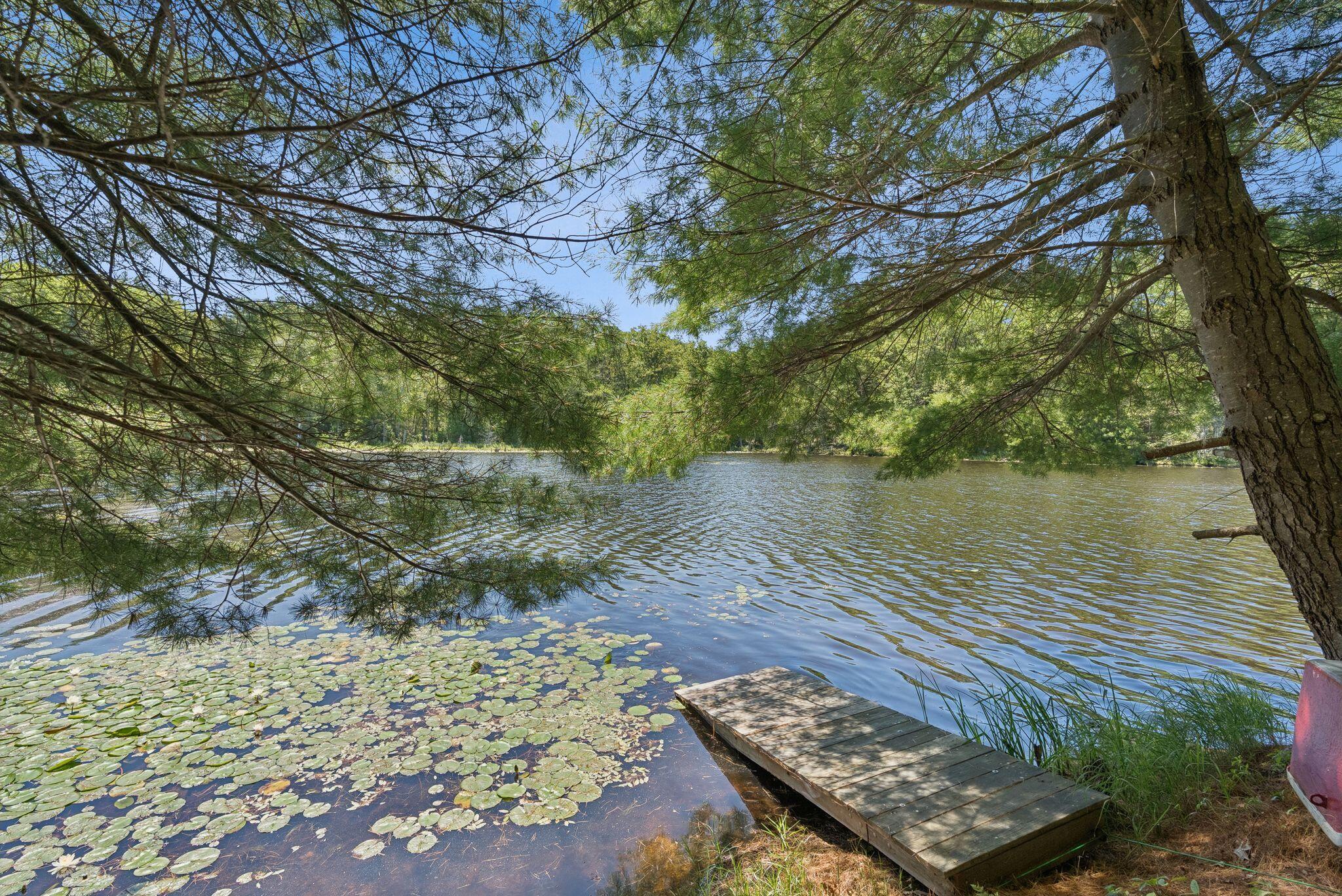 41 Beaver Lodge Lane Phippsburg, ME 04562 - Photo 12 of 113 23_DSC08639