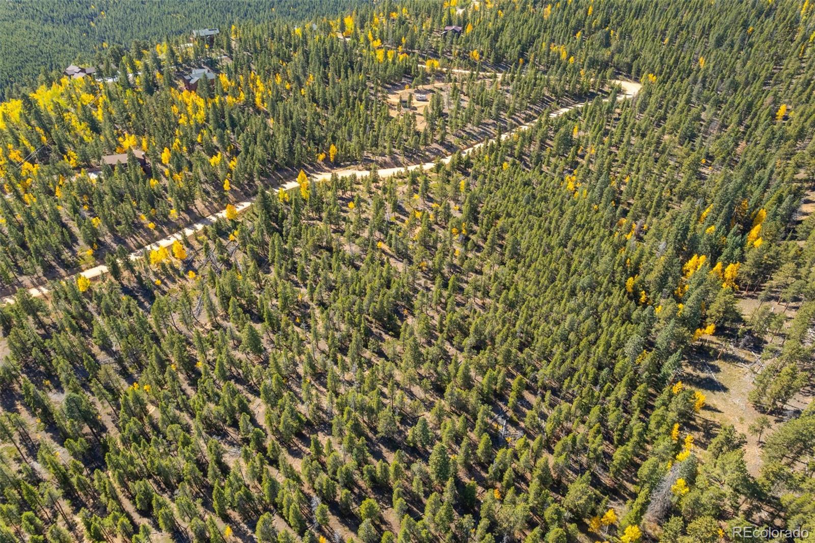 1001 Royal Ridge Drive Bailey, CO 80421 - Photo 12 of 25 a view of a tree