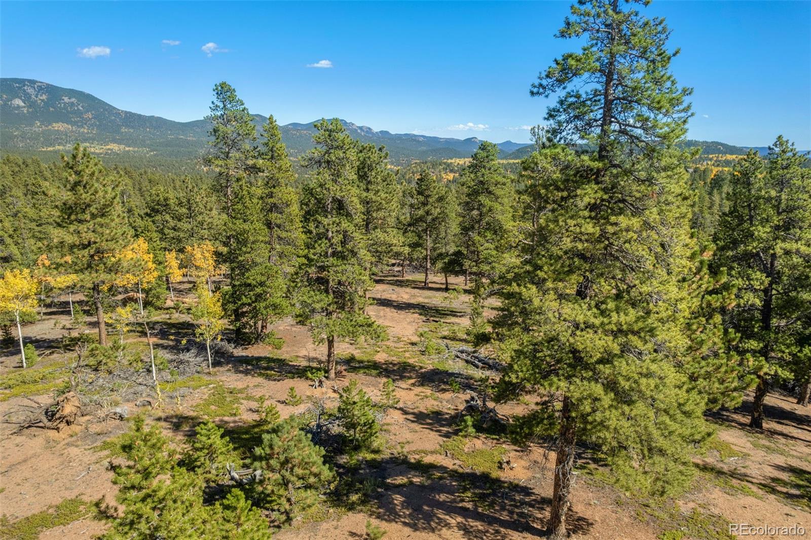 1001 Royal Ridge Drive Bailey, CO 80421 - Photo 15 of 25 a view of a city