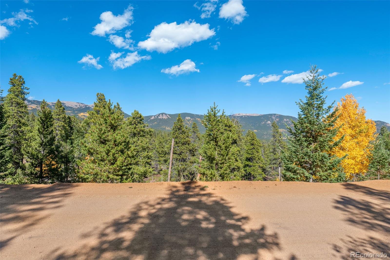 1001 Royal Ridge Drive Bailey, CO 80421 - Photo 17 of 25 a view of a bunch of trees and sunset